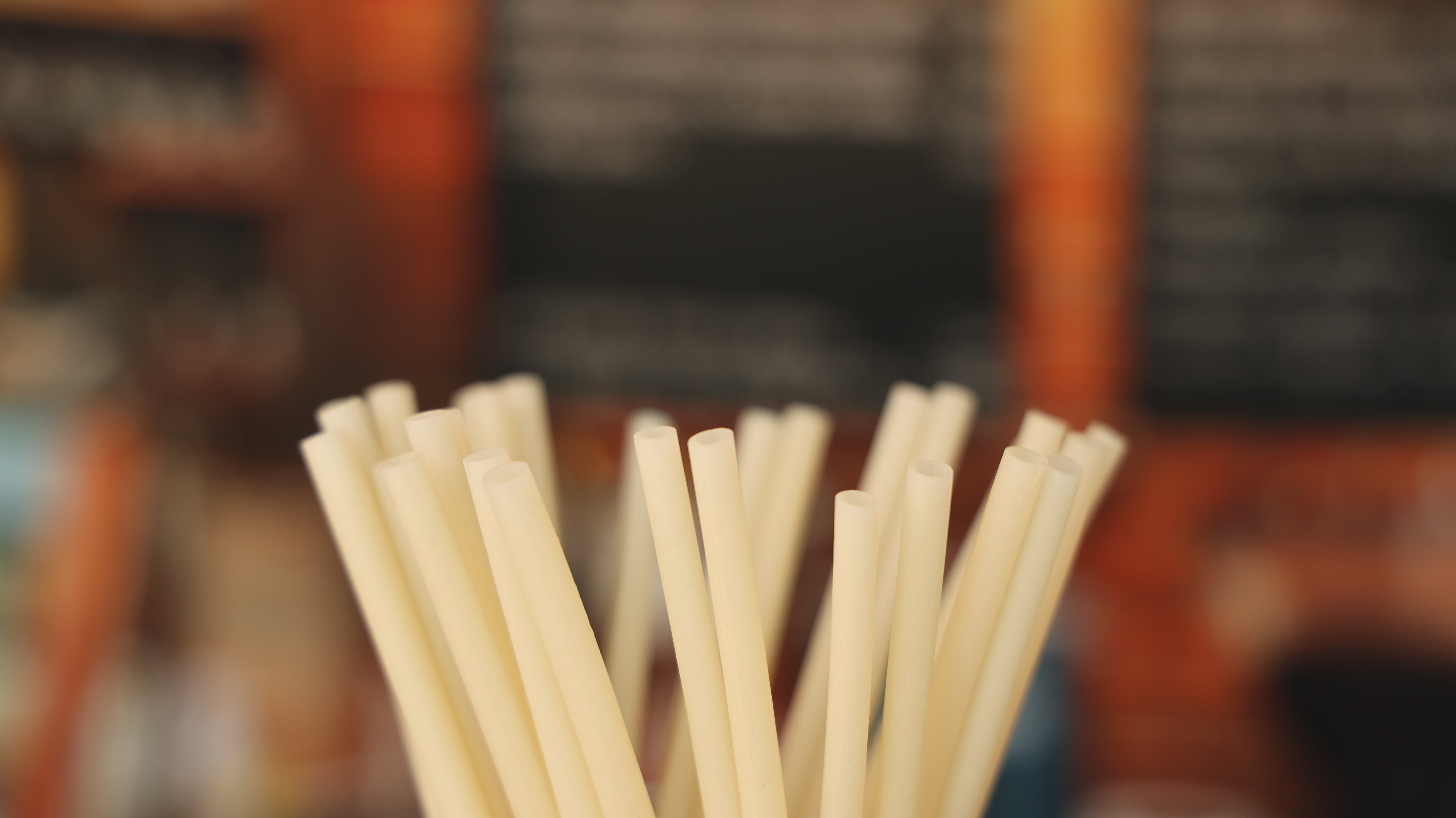 Compostable Straws | Regular