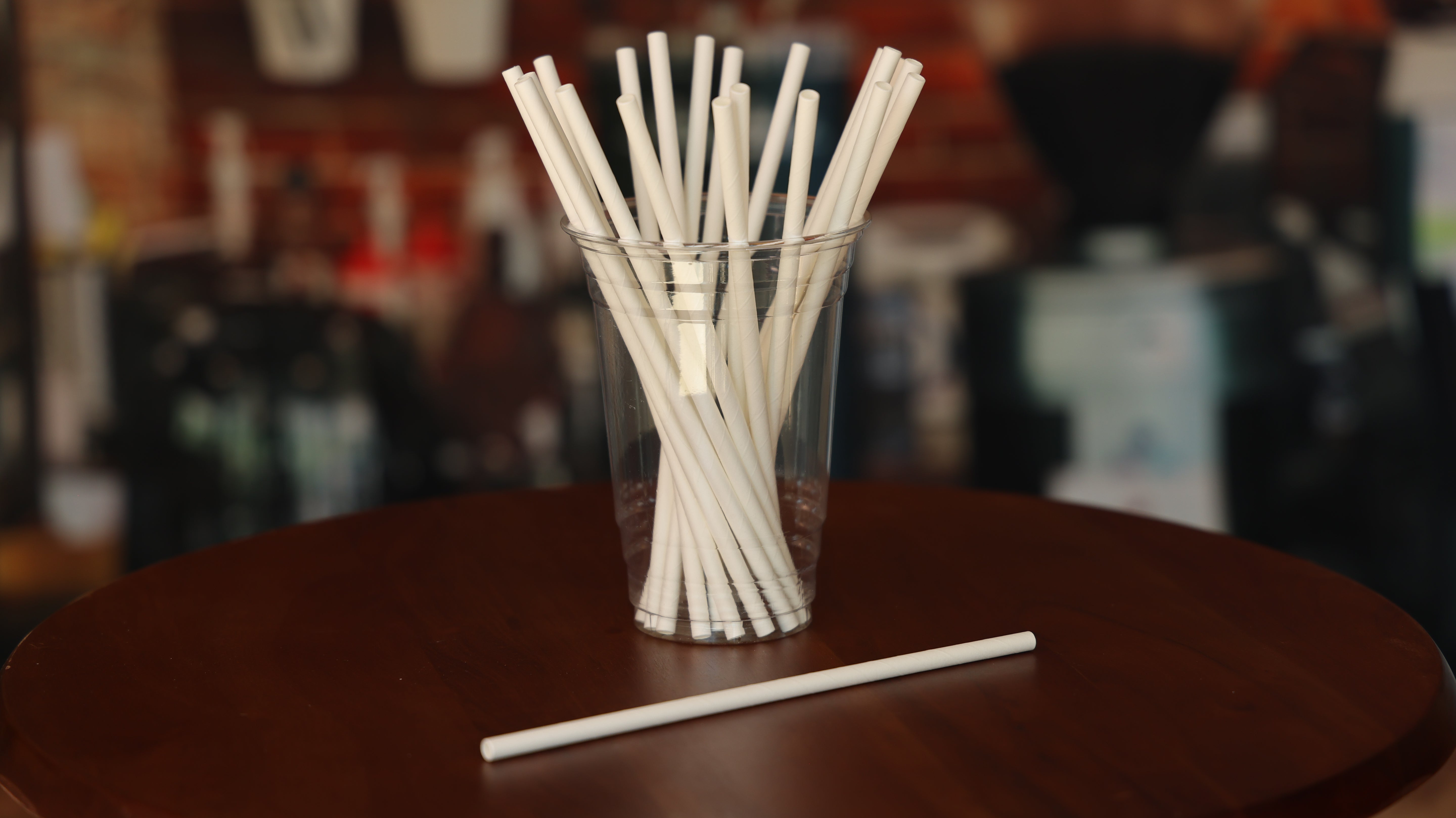 Paper Straws | Regular | White