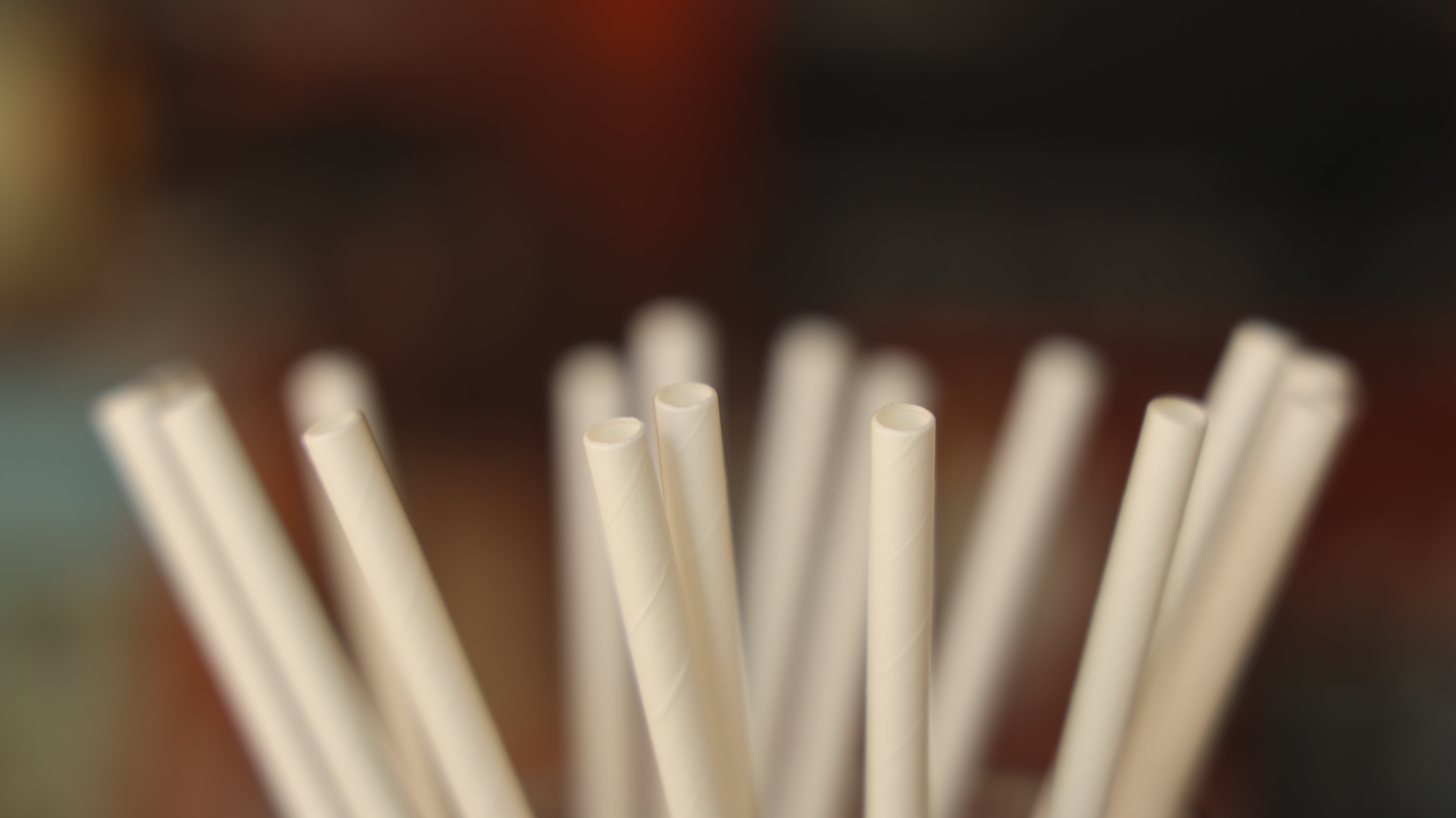 Paper Straws | Regular | White