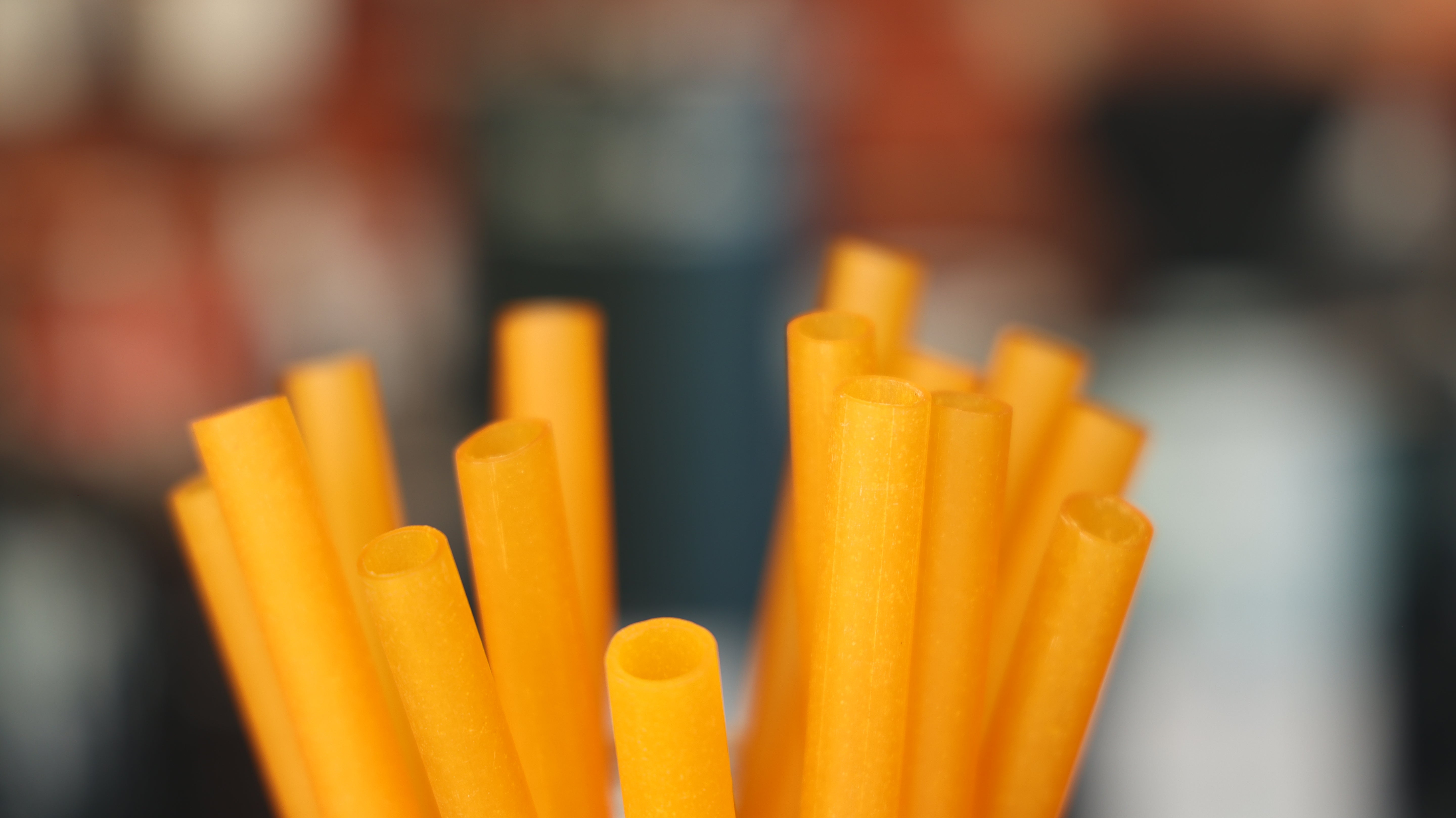 Compostable Straws | Jumbo