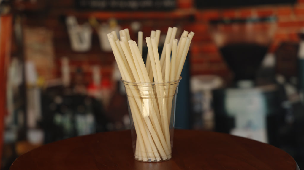 Compostable Straws | Regular
